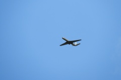 DSCN0091