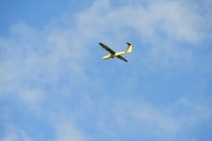 DSCN9536