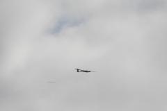 DSCN9680