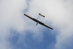 DSCN9781