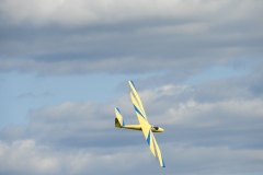 DSCN9798