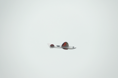 DSCN4716-490