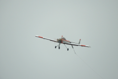 DSCN4765-539