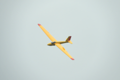 DSCN4767-541