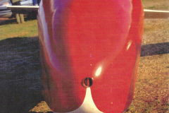 T45-Swallow-0079
