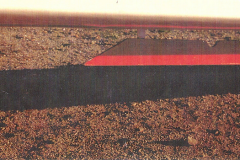 T45-Swallow-0086