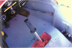 T45-Swallow-0092