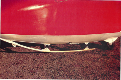 T45-Swallow-0098